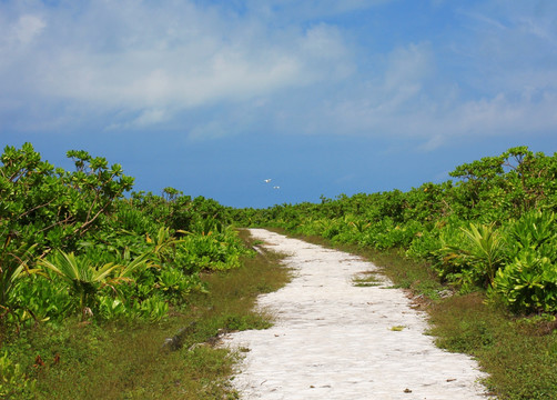 赵述岛小路