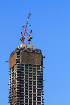 建筑高楼