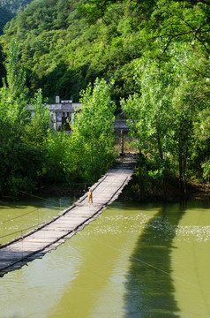 螳螂川上的吊桥