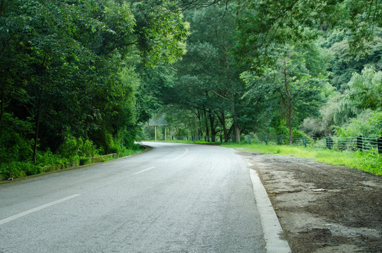 绿的路