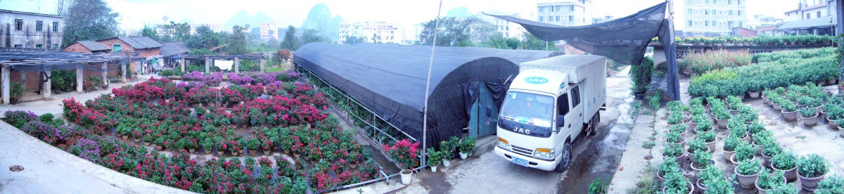 广西师范大学苗圃全景