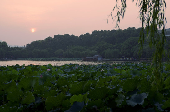 杭州西湖夕照