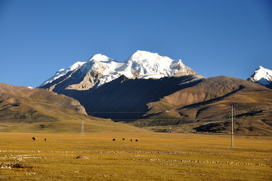 西藏风景