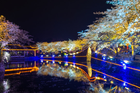 无锡鼋头渚 夜景