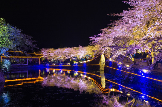 无锡鼋头渚 夜景