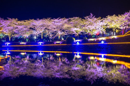 无锡鼋头渚 夜景