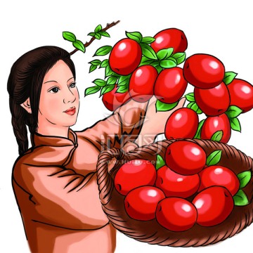 摘棗