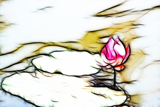 荷花 抽象畫 裝飾畫 無框畫