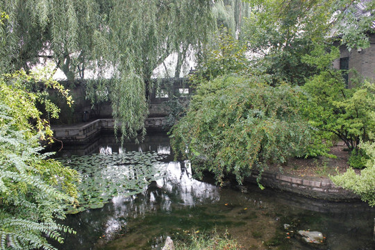 大明湖中的小桥流水