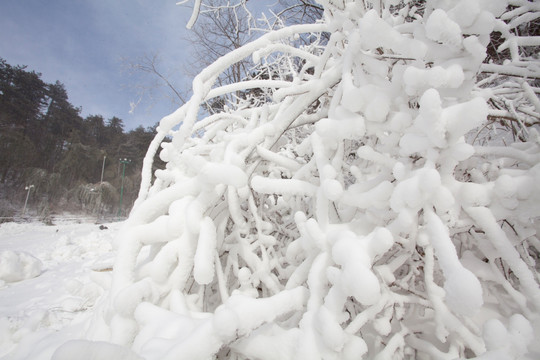 雪景 杭州雪景 大明山风景区