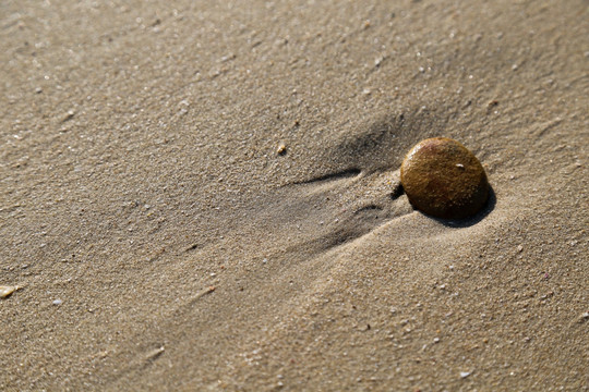 沙滩石子