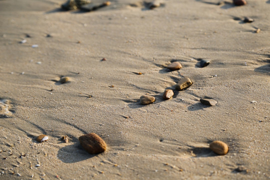 沙滩石子