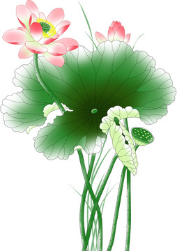 中國(guó)風(fēng)復(fù)古風(fēng)國(guó)畫(huà)工筆荷花JPG