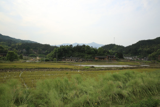 山村田园风景