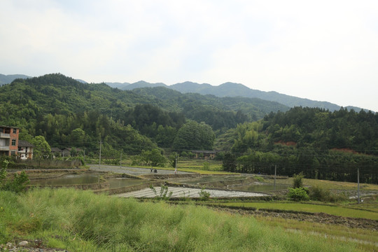 山村田园风景