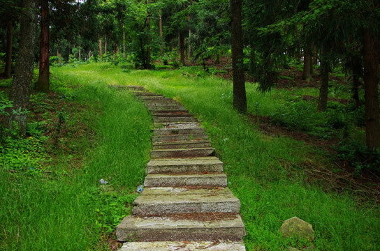 余姚 台阶 草地