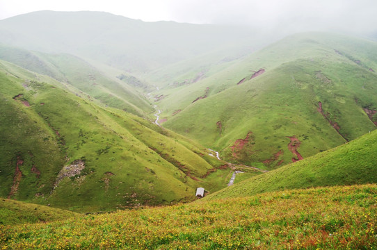 会泽草山美景