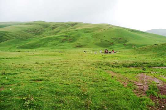 草山风景