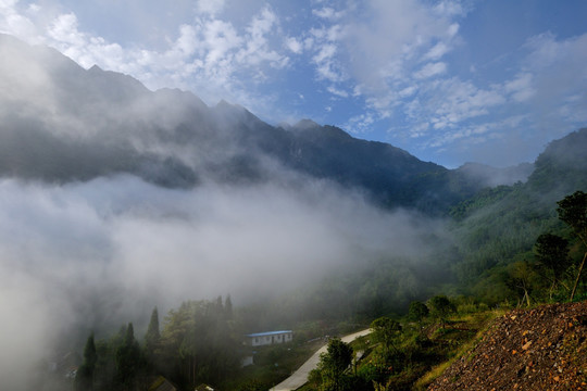 都江堰紫坪铺山区云雾