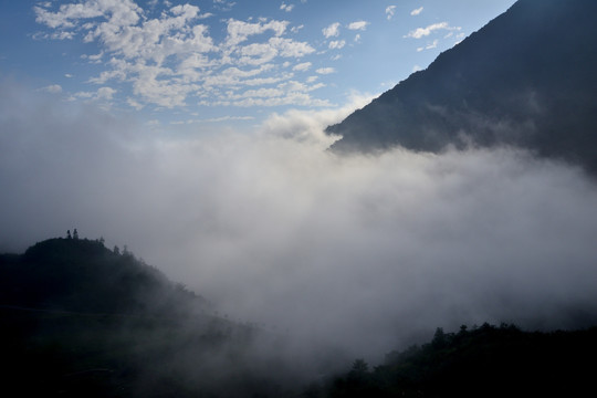 都江堰紫坪铺山区云雾