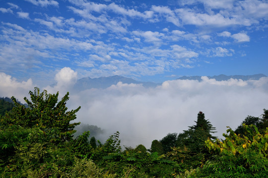 都江堰紫坪铺高山云海