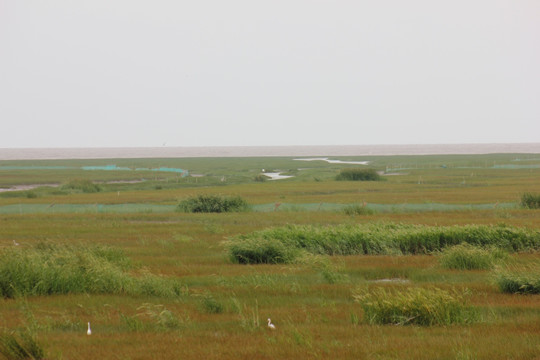 杭州湾湿地公园