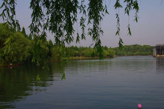 树林湖泊