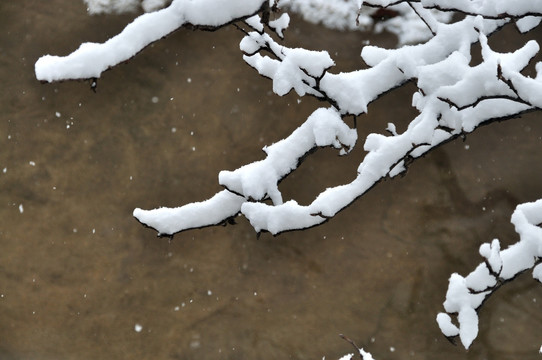 雪景