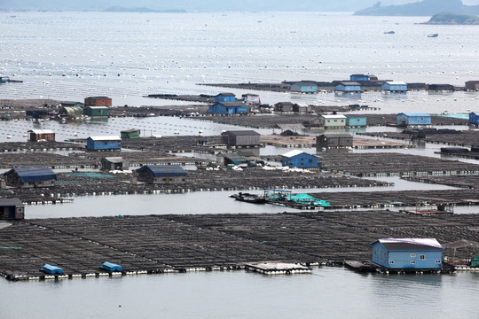 霞浦渔排