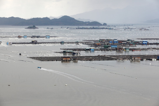 霞浦渔排