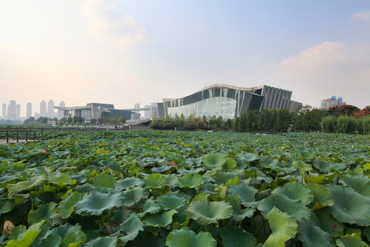 琴台大剧院