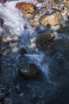 流水 溪流 小河 河流 苔藓