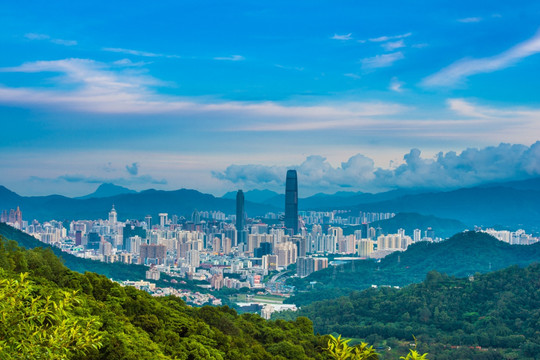 深圳罗湖区全景