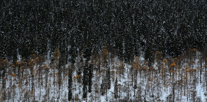 雪霁图