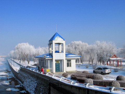 雪中小景