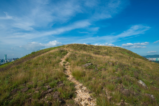 山野小路