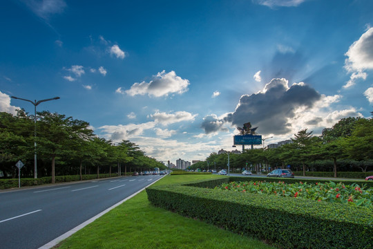 深圳 深南大道 竹子林 日落