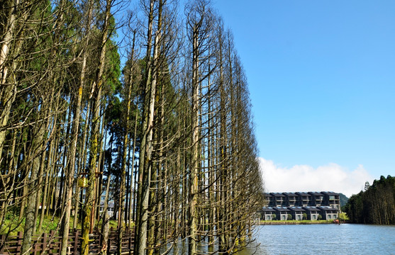 明月山风光 湖景