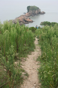 海边欣赏风景的情侣 大海边的爱