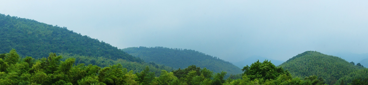 宜兴竹海全景图