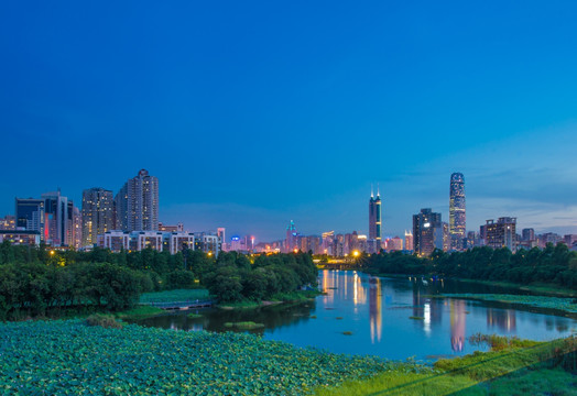 深圳 洪湖公园 夜景