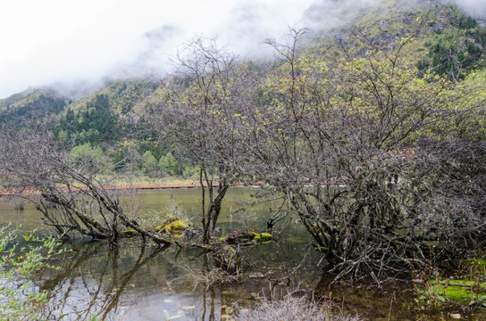 四川毕棚沟景区 高原海子