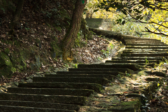 山路台阶石板路