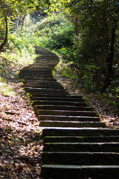 山路台阶石板路