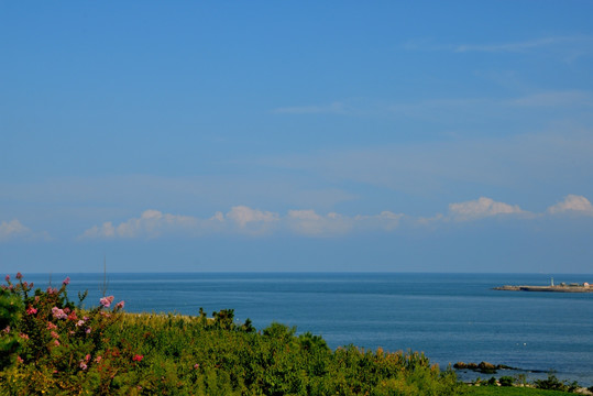 面向大海春暖花开