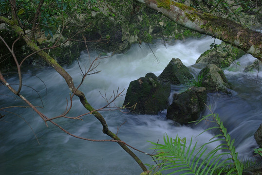 大山里的小溪