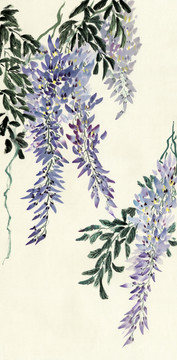 紫藤花裝飾畫
