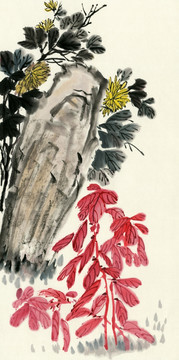 菊花 雁来红 装饰画