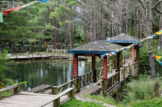 跑马山情人池 情侣林