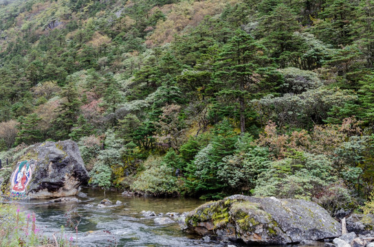 木格措风景区 智慧海